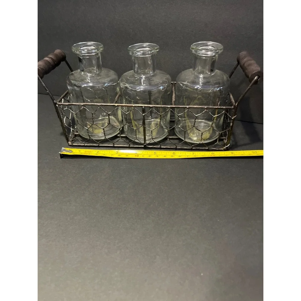 Farmhouse Glass Vase Set 3 Apothecary Bottles in Chicken Wire Caddy Metal Tray